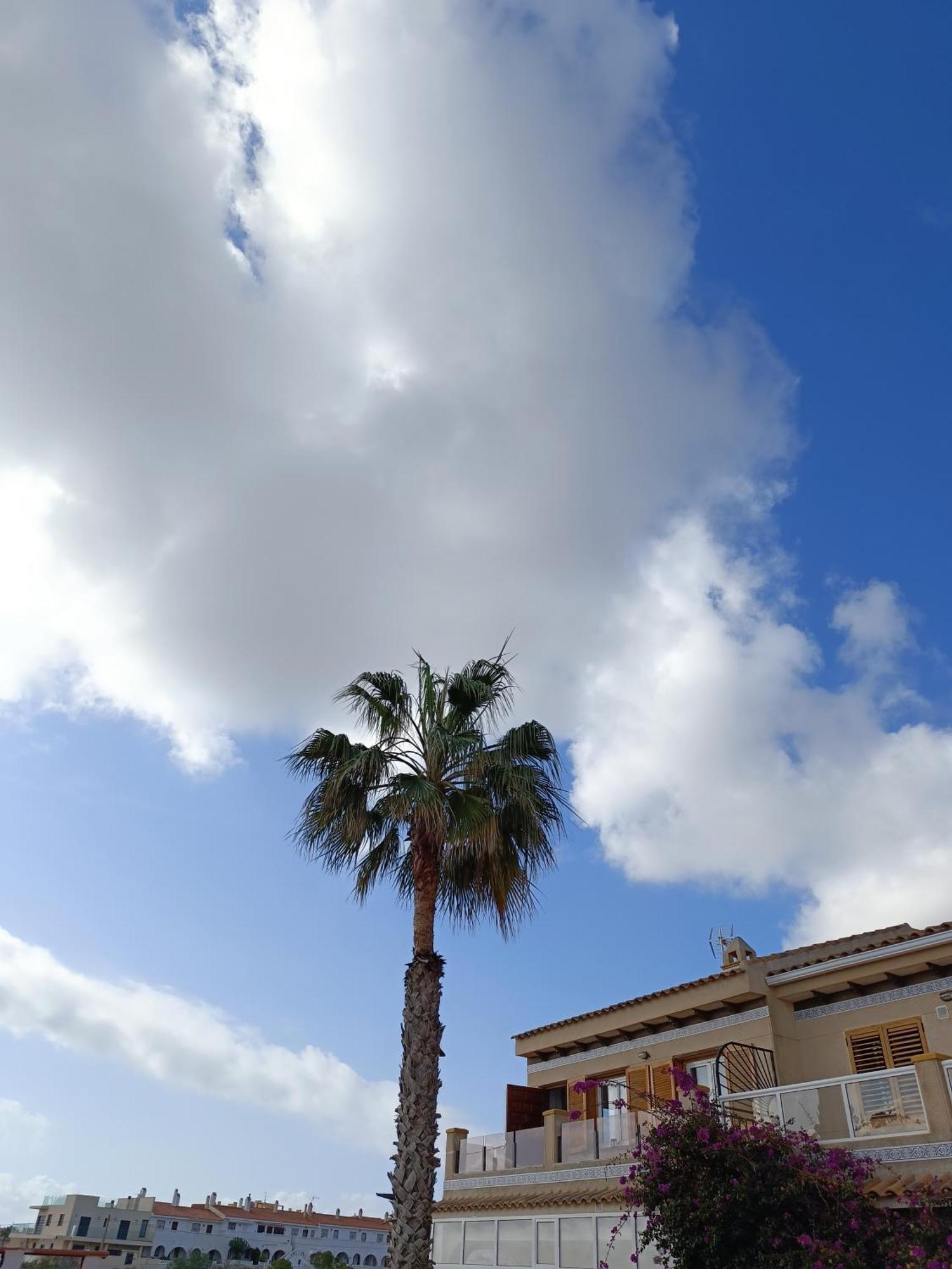 Rising Sun Bungalow Torrevieja Esterno foto